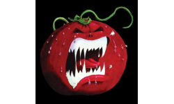 team logo