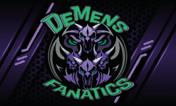 team logo