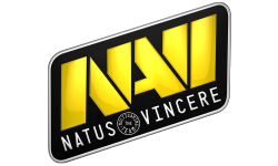 team logo