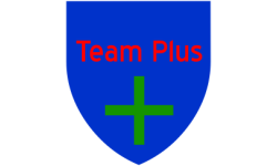 team logo