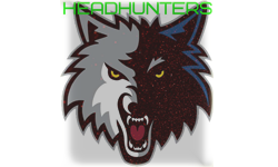 team logo