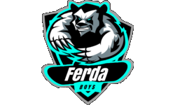 team logo