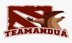 team logo