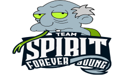 team logo