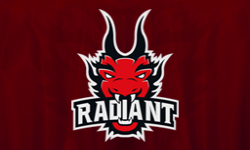 team logo