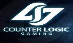 team logo