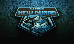 team logo