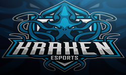 team logo