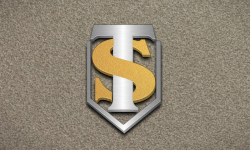 team logo