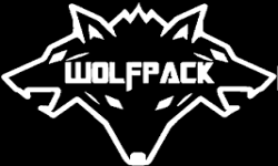 team logo