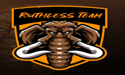 team logo