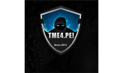 team logo