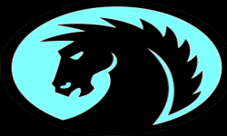 team logo