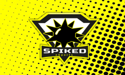 team logo