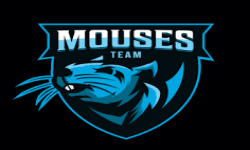 team logo