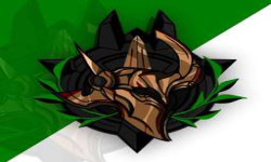 team logo