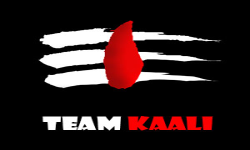 team logo