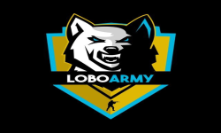 team logo