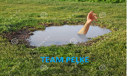 team logo