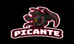 team logo