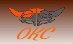 team logo