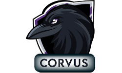 team logo