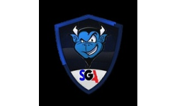 team logo