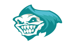 team logo