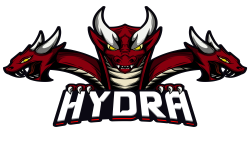 team logo