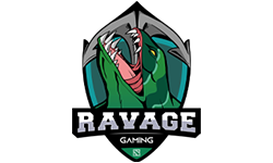 team logo