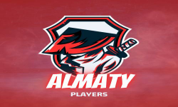 team logo