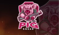 team logo