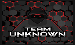 team logo
