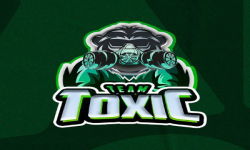 team logo