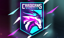 team logo