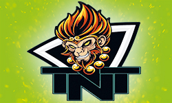 team logo