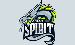 team logo