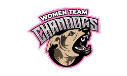 team logo