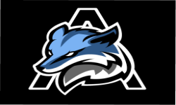 team logo