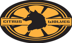 team logo