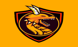 team logo