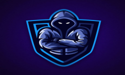 team logo