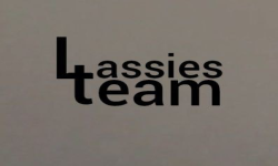 team logo