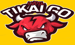 team logo