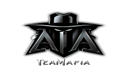 team logo