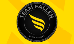 team logo