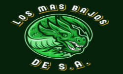 team logo