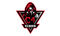 team logo