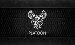 team logo