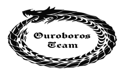 team logo